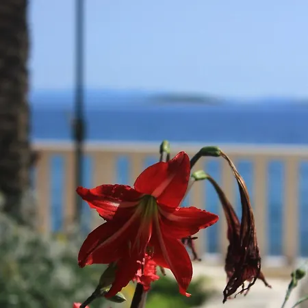 Appartement By The Sea Orebic, Peljesac - 271 Orebić