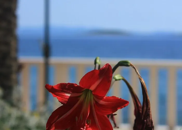 Apartmán By The Sea Orebic, Peljesac - 271 Orebić